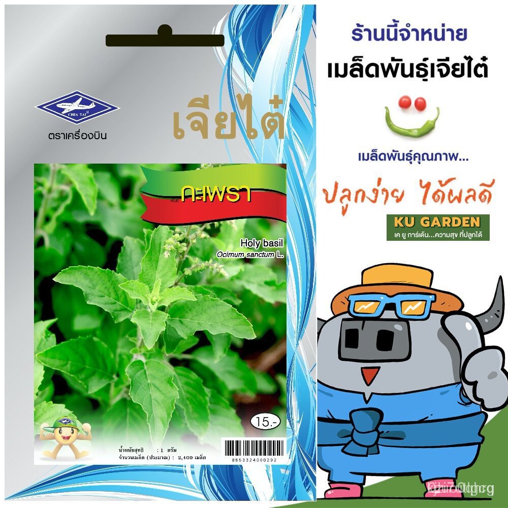 ผลิตภัณฑ์ใหม่-เมล็ดพันธุ์-จุดประเทศไทย-chiatai-ผักซอง-เจียไต๋-กะเพรา-o025-ประมาณ-2-400-เมล็ด-เมล็ดอวบอ้วนผัก-ดอก-p13