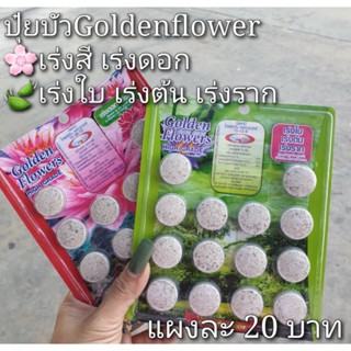 ปุ๋ยบัว ปุ๋ยบอน ปุ๋ยไม้น้ำ Golden Flower 14เม็ด/แผง บำรุงต้น/ดอก