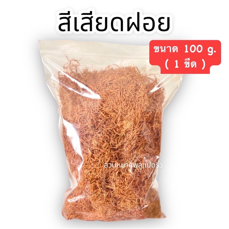 สีเสียดฝอย-สีเสียดกินกับหมาก-acacia-catechu-eaten-with-betel-leaves-สีเสียดหมักปลากัด-ขนาด100g