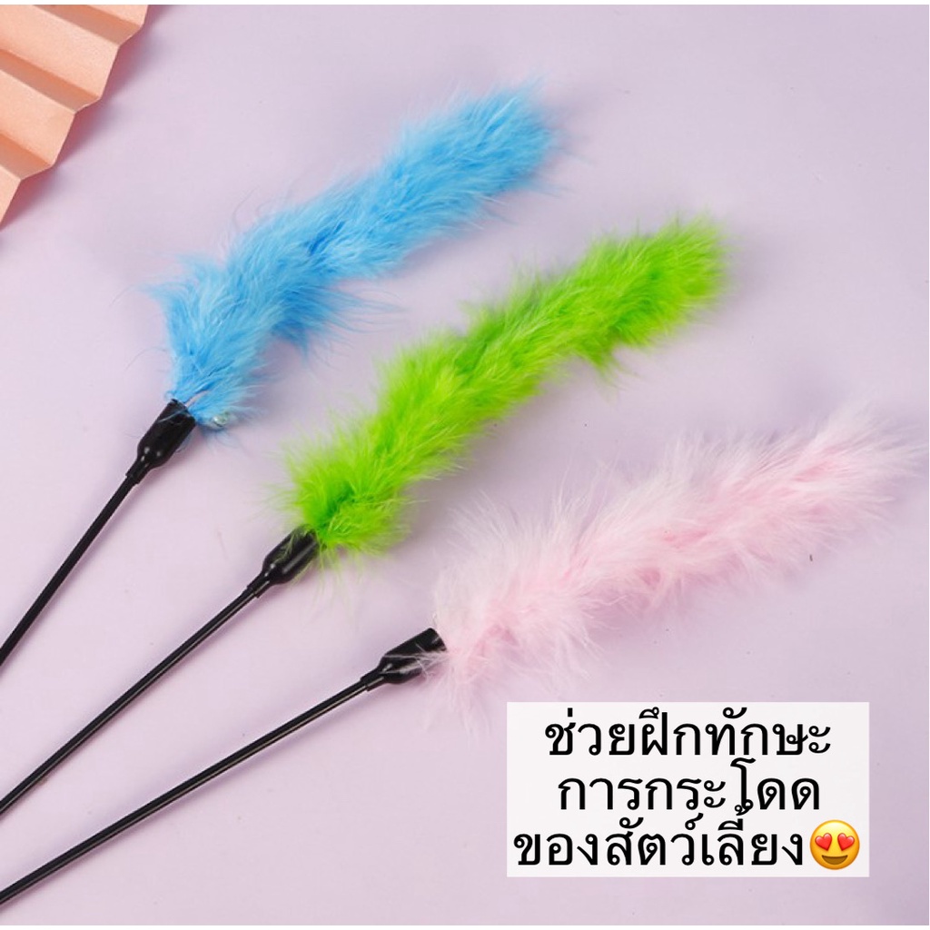 bn-397-ไม้ตกแมว-ไม้ล่อแมวหนอนผีเสื้อ-คละสี-ของเล่นแมว-ยาว-50-cm-ราคาถูก-พร้อมส่ง