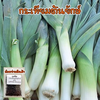 กระเทียมต้น เมล็ดพันธุ์ Leek  40-100 เมล็ด กระทียมต้น เมล็ดกระเทียมต้น [ซื้อ 10 แถม 1 คละได้]