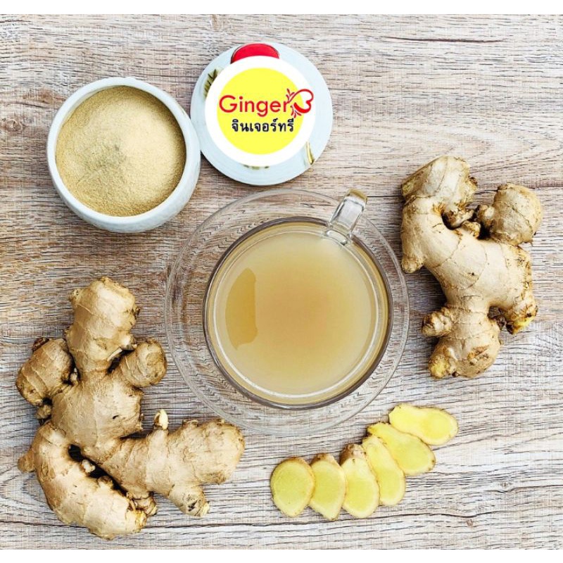 ภาพสินค้าGinger3 จินเจอร์ทรี ขิงสกัดผสมกระชายดำ (ไม่มีน้ำตาล) ขนาด 500 กรัม ละลายดีไม่มีกากตะกอน อร่อยเข้มข้น ไม่ขม สรรพคุณแน่น จากร้าน ginger3th_officialshop บน Shopee ภาพที่ 6