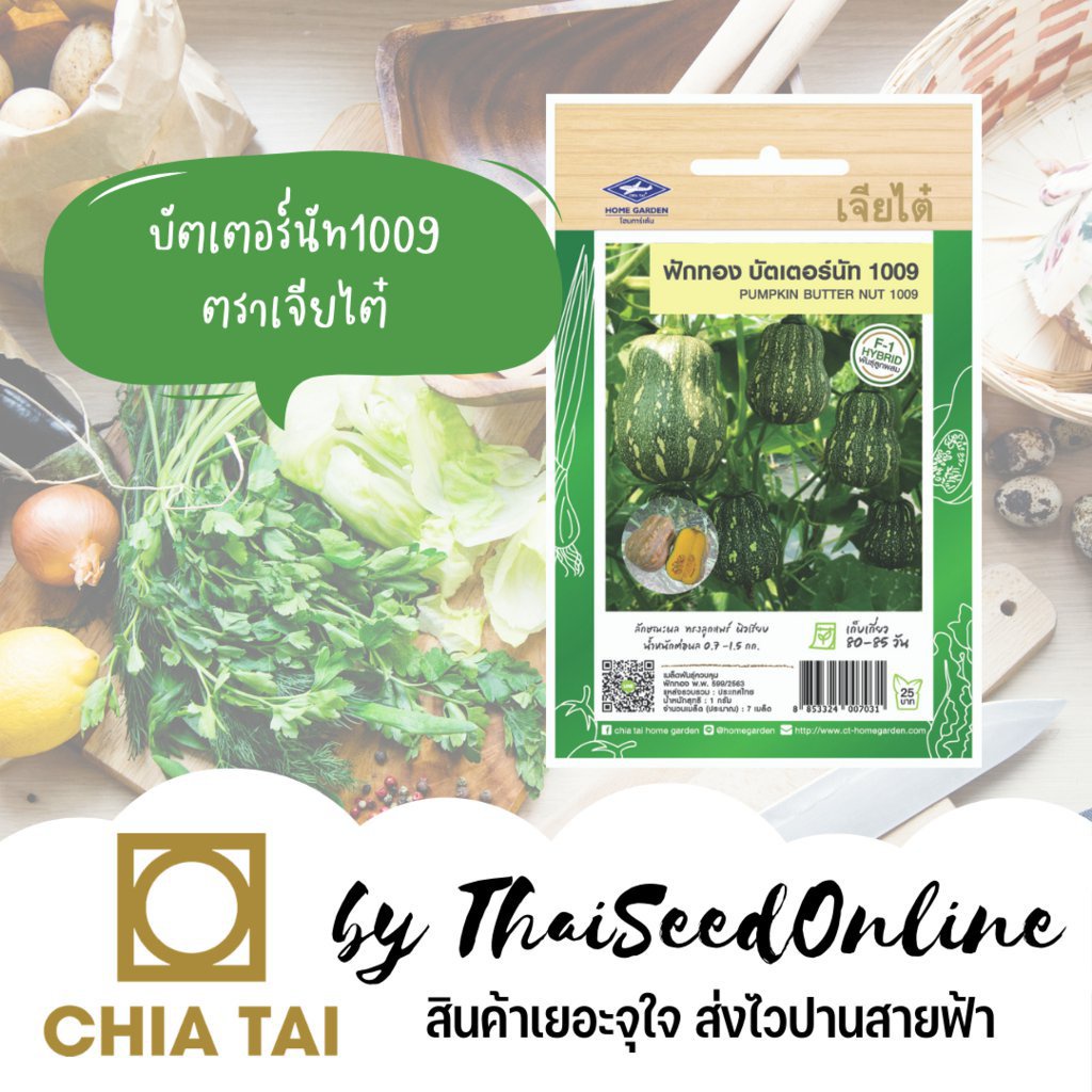 ผลิตภัณฑ์ใหม่-เมล็ดพันธุ์-สปอตสินค้า-เมล็ดอวบอ้วน-ฟักทองบัตเตอร์นัท-1009-ตราเจียไต๋-pumpkin-butter-nut-1009-สควอ-ขายดี-y