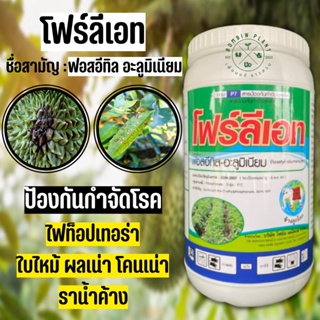 ฟอสอีทิล อะลู่มิเนียม 80% WP (โฟร์ลีเอท ขนาด 1 กิโลกรัม ) ป้องกันเเละรักษาโรครากเน่า โคนเน่า