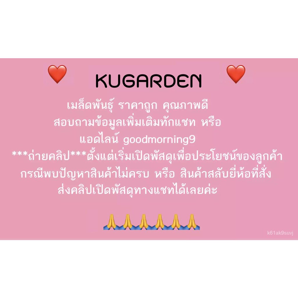 ผลิตภัณฑ์ใหม่-เมล็ดพันธุ์-เมล็ดพันธุ์คุณภาพสูงในสต็อกในประเทศไทย-พร้อมส่งsorndaeng-ผักซอง-ศรแดง-s038-ข้าวโพดข้-ขายด-xz