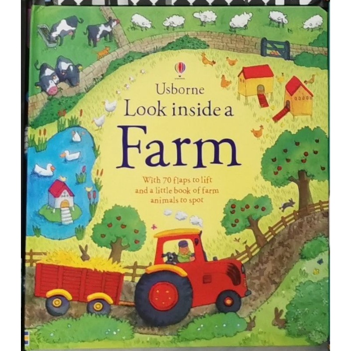 Usborne Questions and Answers Series/Look inside Series /See inside ...