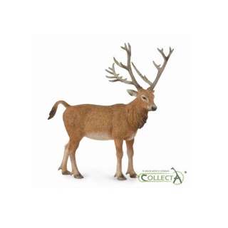 Collecta 88829 David Deer 9,5 ซม. สัตว์ป่า -