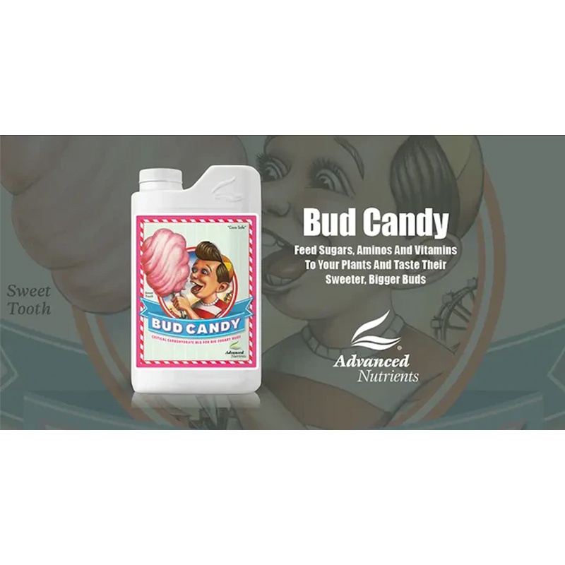 bud-candy-ขวดแท้-500-ml-1l-advanced-nutrients-ปุ๋ยเพิ่มความหวานและกลิ่นให้ดอกและผลไม้