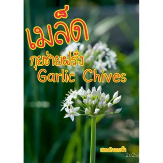 （คุณภาพสูง เมล็ด）เมล็ดพันธุ์ กุยช่ายฝรั่ง 50เมล็ด Garlic Chives Seed เมล็ดพันธุ์แท้ นำเข้าจาก/ง่าย ปลูก สวนครัว /ขายด UU