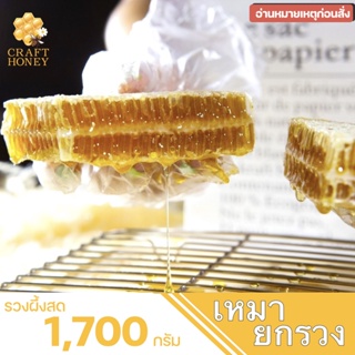 รวงผึ้งสด ขนาด 1,700 กรัม *อ่านหมายเหตุก่อนสั่ง* (HoneyComb) By Craft Honey