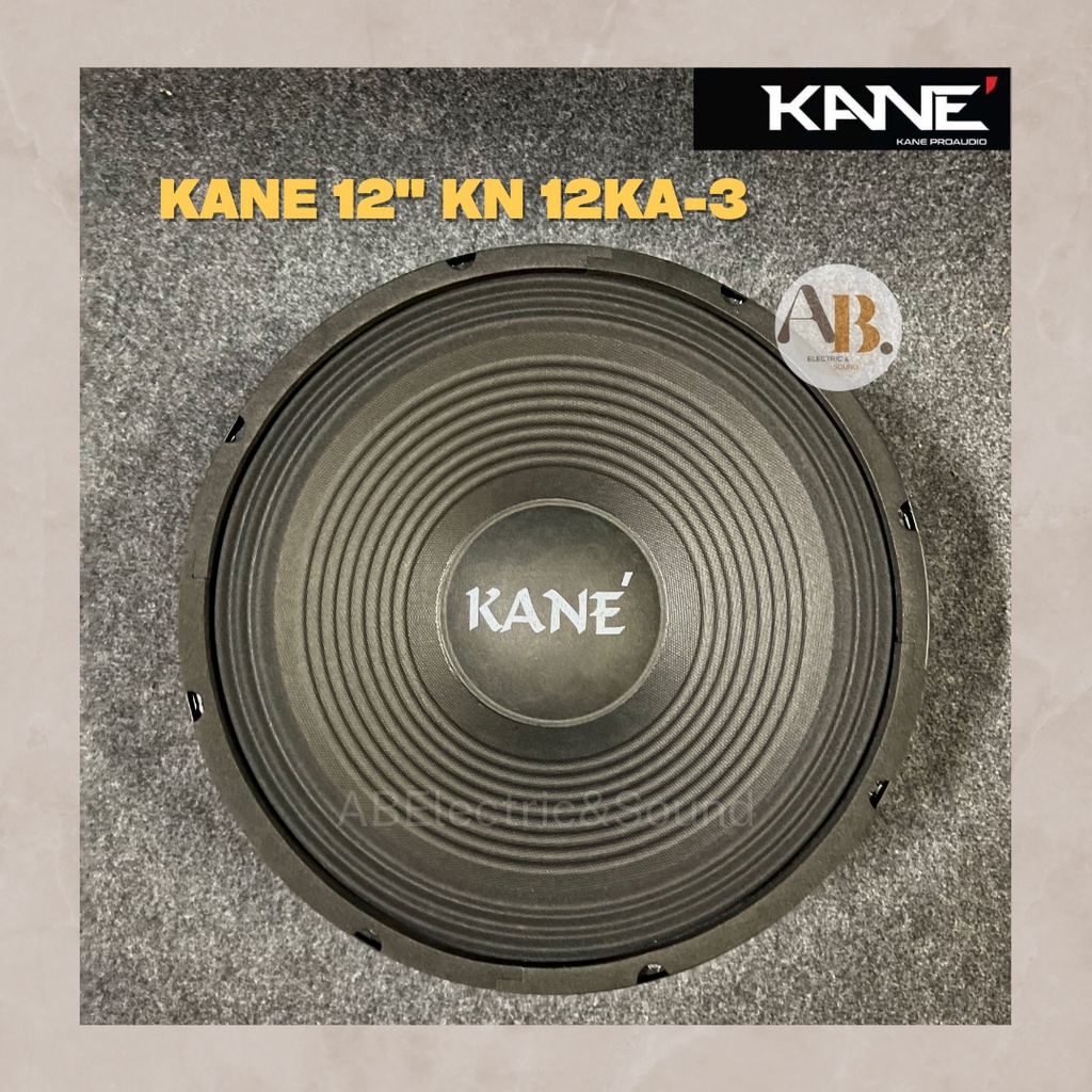 ดอกลำโพง-12-kane-kn-12ka-3-ดอกลำโพง-12นิ้ว-kane-kn-12ka3