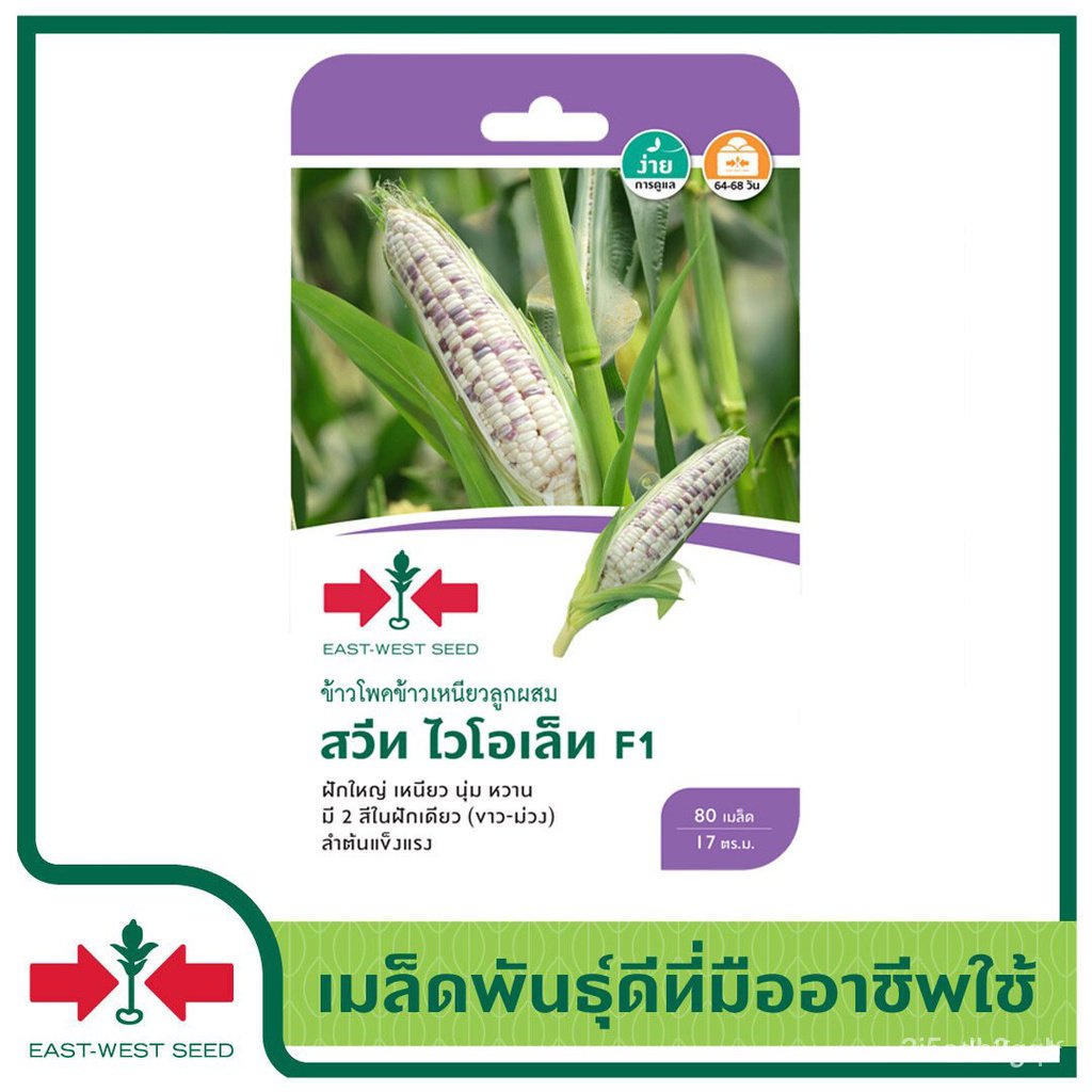ผลิตภัณฑ์ใหม่-เมล็ดพันธุ์-เมล็ดพันธุ์คุณภาพสูงในสต็อกในประเทศไทย-พร้อมส่ง-ะให้ความสนใจของคุณeast-west-seed-เมล็-คล-เ-xd4