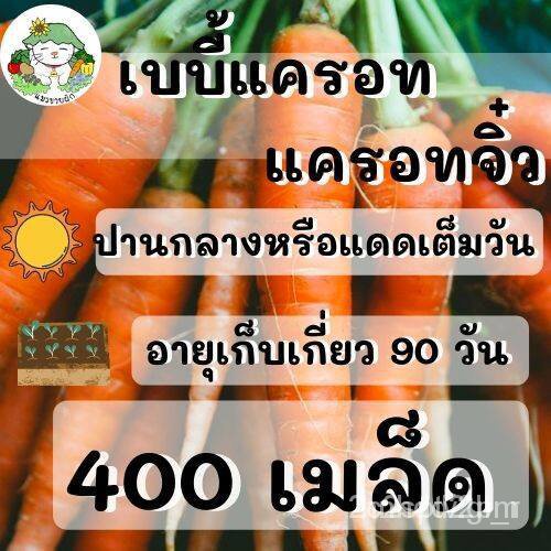 ผลิตภัณฑ์ใหม่-เมล็ดพันธุ์-จุดประเทศไทย-เมล็ดพันธุ์เมล็ดอวบอ้วน-เบบี้แครอท-แครอทจิ๋ว-2000-เมล็ด-littlefingers-ca-สวนครัว