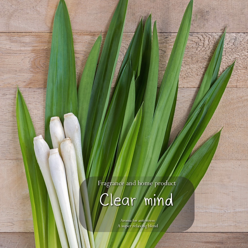 clear-mind-กลิ่น-citronella-premium-น้ำหอมปรับอากาศ-room-fragrance-diffuser-50-ml-ก้านไม้หอมกระจายกลิ่น-สร้างบ้านด้ว