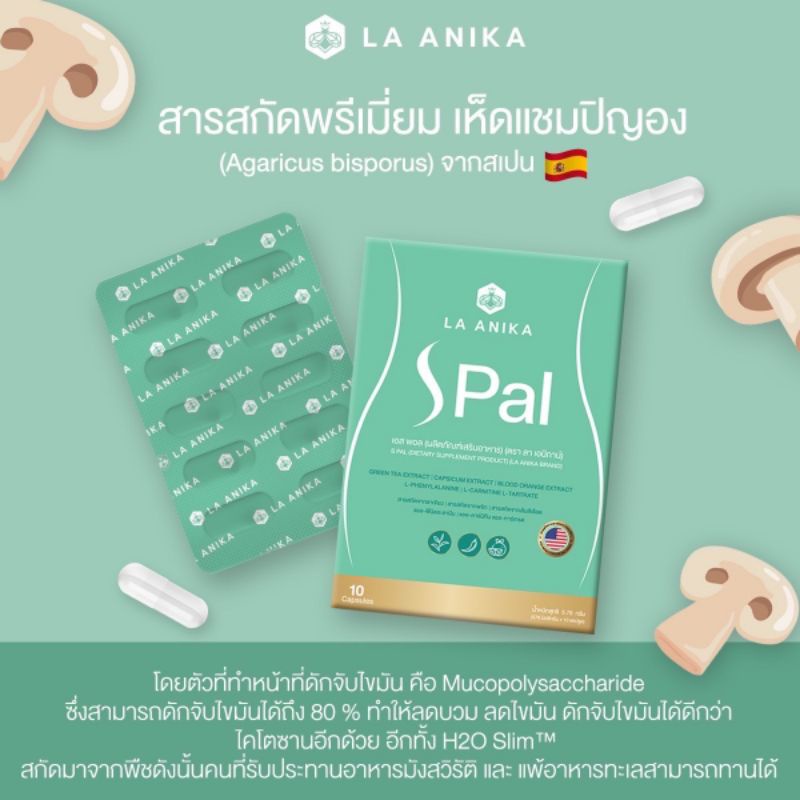 s-pal-เอส-พาว-วิตามินลดน้ำหนัก-คุมหิว-นวัตกรรมจากอเมริกา