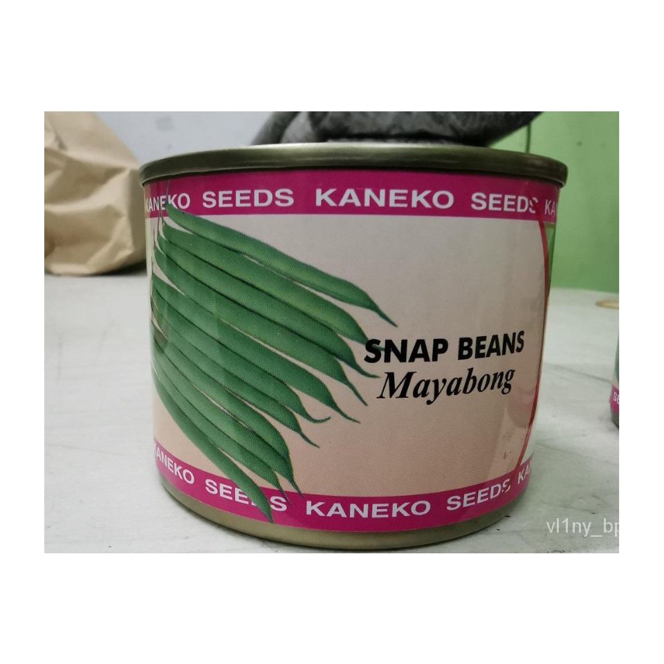 อินทรีย์-ใหม่-สายพันธุ์-จุดประเทศไทย-snap-bean-baguio-beans-seeds-mayabong-variety-by-kaneko-100grams-canเมล-ขายด-rf