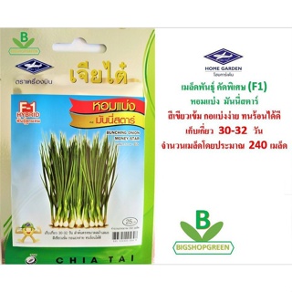 ผลิตภัณฑ์ใหม่ เมล็ดพันธุ์ เมล็ดพันธุ์คุณภาพสูงในสต็อกในประเทศไทย พร้อมส่งเมล็ดอวบอ้วน  หอมแบ่ง มันนี่สตาร์ ตรา เ/ดอก 0SL