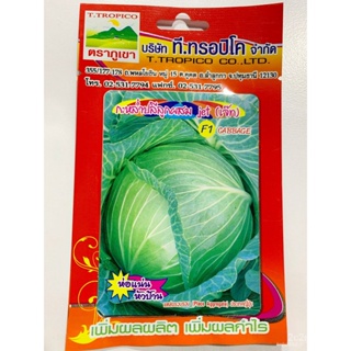 ผลิตภัณฑ์ใหม่ เมล็ดพันธุ์ 2022เมล็ดกะหล่ำปลี ลูกผสม 50 เมล็ด (F1 Hybrid Cabbage) พันธุ์เจ๊ท (jet) จากประเทศญี่ปุ/ขายด S3