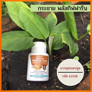 Sale🌺กระชายผง250มก.Giffarineกระชายพลัสเพื่อสุขภาพที่ดี/รหัส41038/จำนวน1กระปุก(60แคปซูล)🌺2Xpt