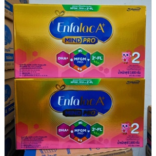 (ยกลัง2กล่องEnfalac A+2 เอนฟาแล็ค เอพลัส มายด์โปร 2FL (สูตรใหม่) นมผง สูตร 2 รสจืด ขนาด 3,800 กรัม วันหมดอายุ 01/04/2025