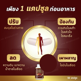 ภาพขนาดย่อของภาพหน้าปกสินค้าL-ZE Plus แอลซีพลัส บำรุงร่างกายความดันเบาหวานข้อเข่า (จัดส่งฟรีเก็บเงินปลายทาง) จากร้าน st9299groub บน Shopee ภาพที่ 2