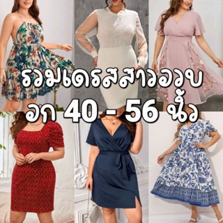 เดรสอก 40-56