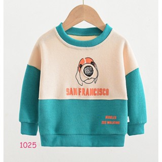 TLB-1025 เสื้อแขนยาวเด็กชาย sweater สีเขียวลายหมา