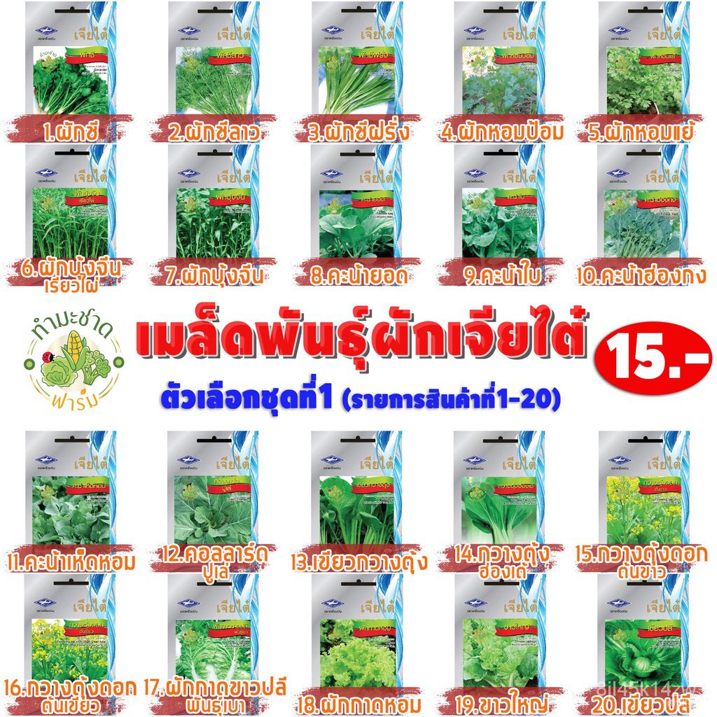 ผลิตภัณฑ์ใหม่-เมล็ดพันธุ์-2022-10แถม2-เจียไต๋-เมล็ดอวบอ้วน-ผักชี-coriander-ประมาณ-1-100-เมล็ด-ตราเจียไต๋-เมล็ด-ขายด-ad