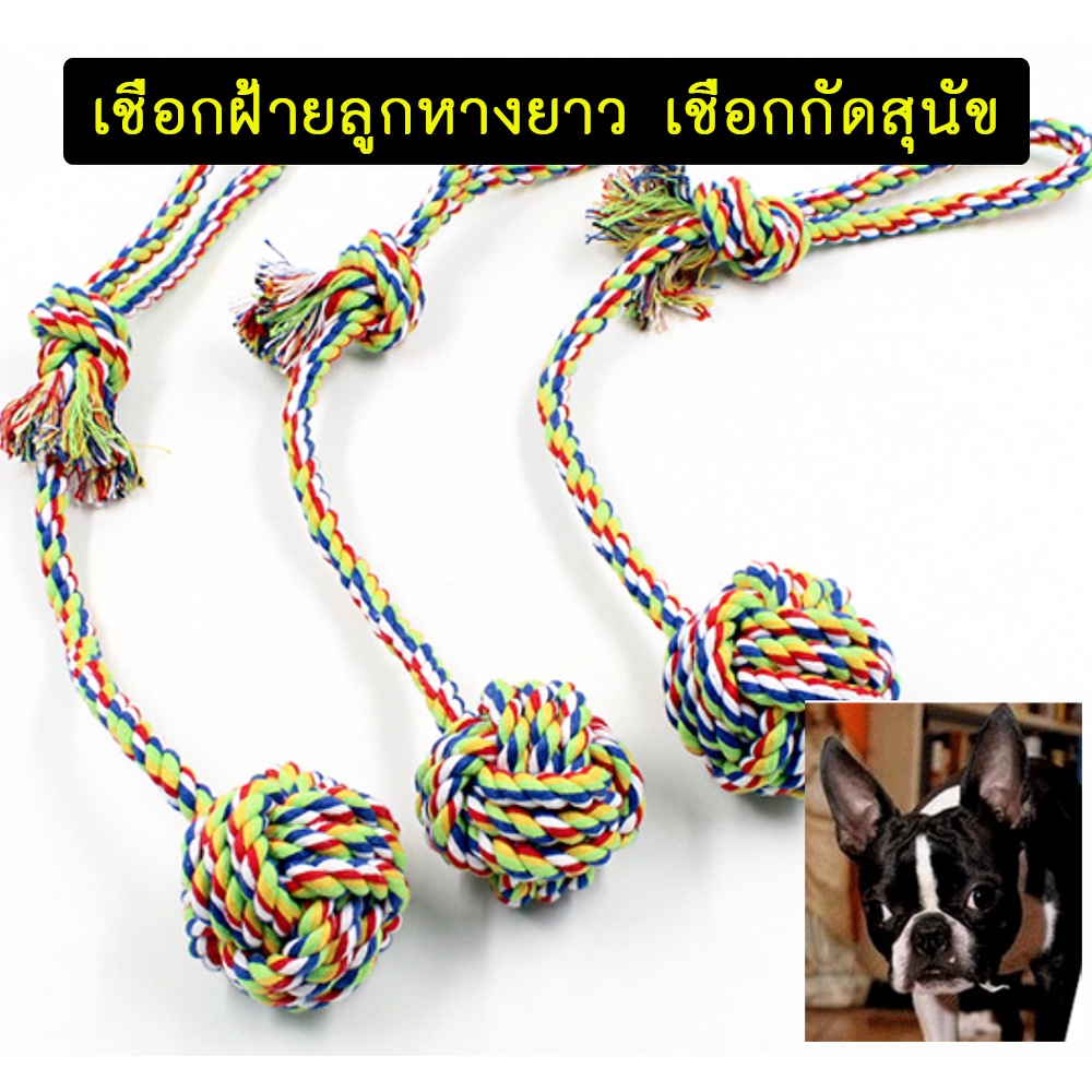 bn-173-เชือกกัดเล่นสุนัข-ลูกตุ้ม-ของเล่นสุนัข-ของเล่นหมาและแมว-เคียวมัน-เคี้ยวเพลิน-เชือกฝ้าย-เชือกถัก-dog-chewing-rope