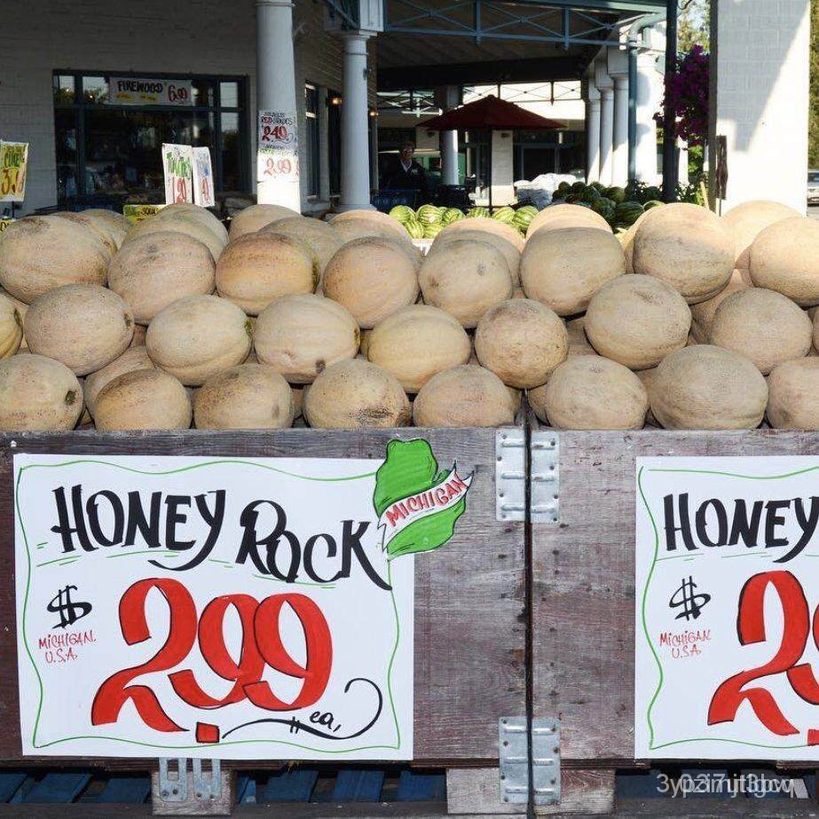 ผลิตภัณฑ์ใหม่-เมล็ดพันธุ์-2022เมล็ดอวบอ้วน-เมล่อน-ฮันนี่ร็อค-honey-rock-melon-seed-บรรจุ-40-เมล็ด-คุณภาพดี-รา-ดอก-atm