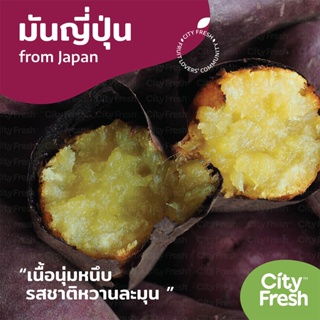 CityFresh (ยกลัง)มันหวานญี่ปุ่น Beni Haruka Sweet Potato 𝗠𝗨𝗡𝗜𝗠𝗢 จากญี่ปุ่น ผลไม้นำเข้า