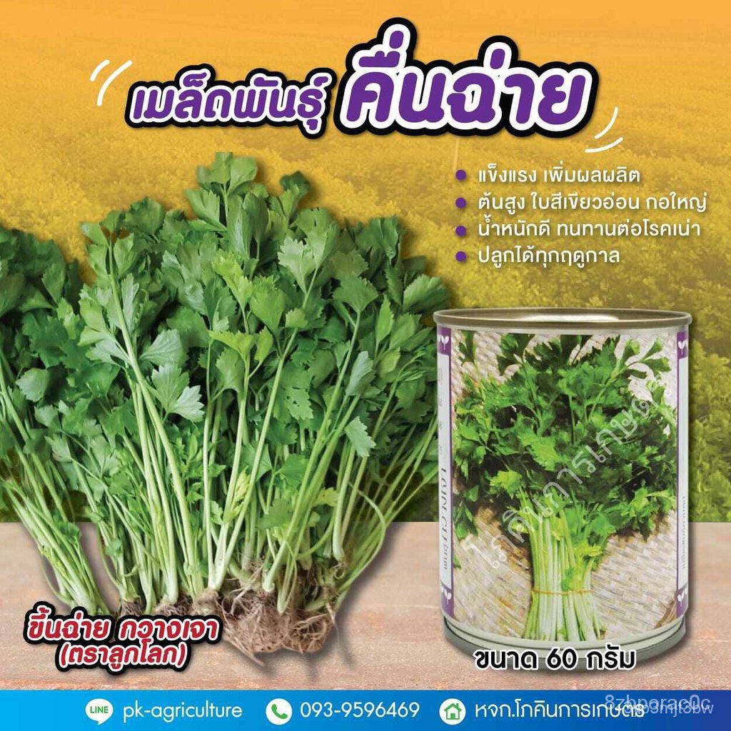 ผลิตภัณฑ์ใหม่-เมล็ดพันธุ์-เมล็ดพันธุ์คื่นฉ่าย-กวางเจา-ลูกโลก-ขนาด-60-กรัม-j4mj-คละ-สวนครัว-ดอก็ด-ogrl