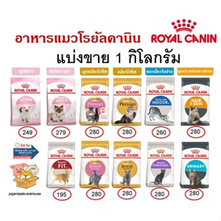 ภาพหน้าปกสินค้าRoyal Canin 1kg แบ่งขาย 1กิโล แมว โรยัล โรยัลคานิน ราคาถูก Kitten  Kitten Persian/ Adult Persian /Indoor /HairSkin รอยัล ที่เกี่ยวข้อง