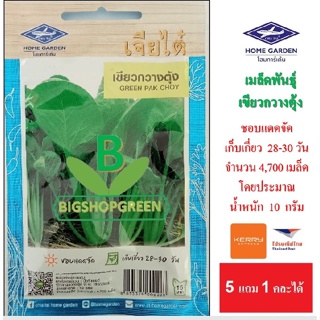 5 ฟรี 1 คละได้ เมล็ดพันธุ์ เขียวกวางตุ้ง  เจียไต๋ เมล็ดพันธุ์ผัก เมล็ดผัก เมล็ดพืช เมล็ดพันธุ์พืช ผักสวนครัว