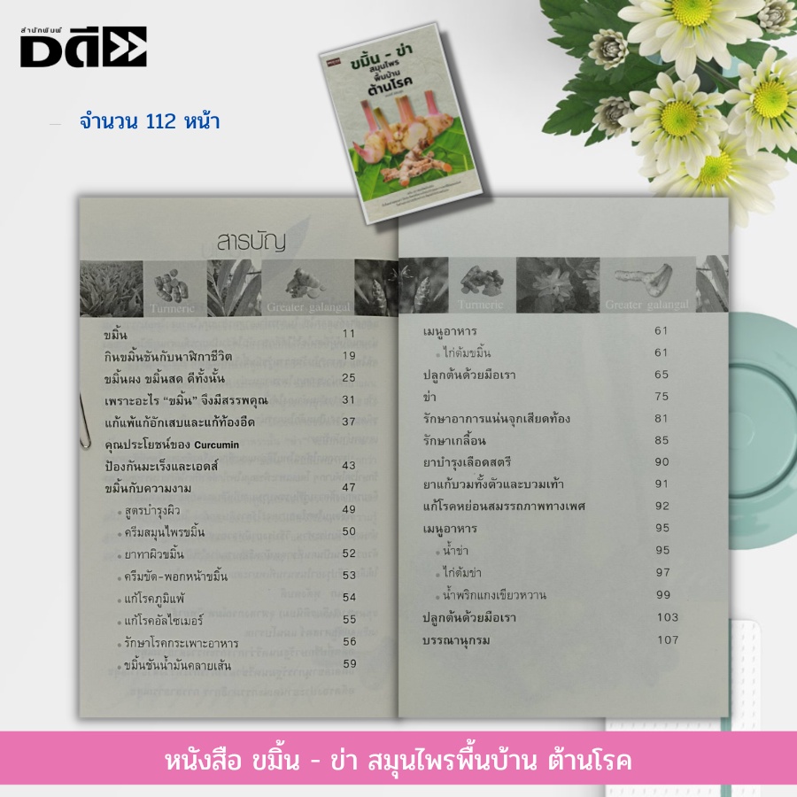 หนังสือ-ขมิ้น-ข่า-สมุนไพรพื้นบ้าน-ต้านโรค-ยาสมุนไพร-สมุนไพรไทย-ตำรายาพื้นบ้าน-ตำรับยารักษาโรค-รักษาโรคด้วยสมุนไพร