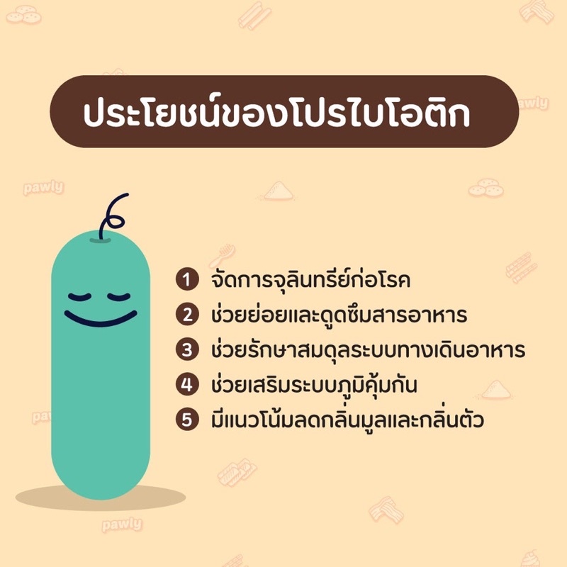 pawly-ผงพรีไบโอติกสุนัขและแมว-ผงพรีไบโอติกแมว-ผงโปรไบโอติดสุนัข-ผงพรีไบโอติกและโปรไบโอติกแมว-ปรับลำไส้สุนัข-ปรับลำไส้แมว