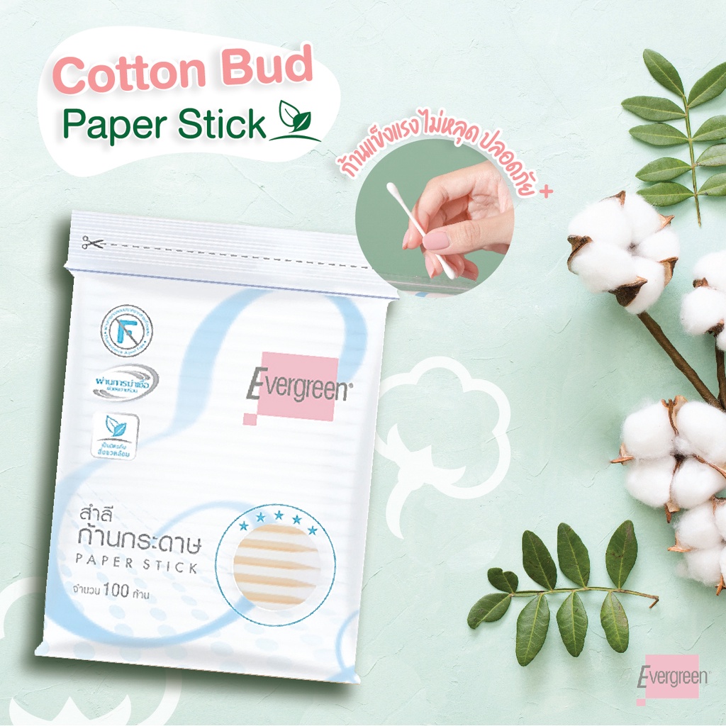 ขายยกแพ็ค-สำลีก้านกระดาษเอเวอร์กรีน-100-ก้านถุง-แพ็ค-12-ชิ้น-cotton-bud-evergreen-paper-stick-100-pcs-pack-12