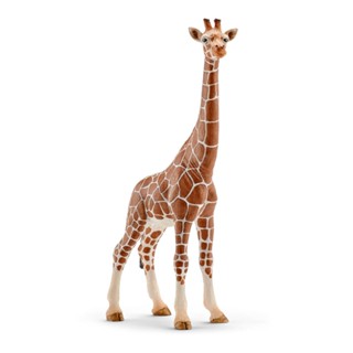 Schleich 14750 ฟิกเกอร์พลาสติก รูปยีราฟ ตัวเมีย (Wildlife)