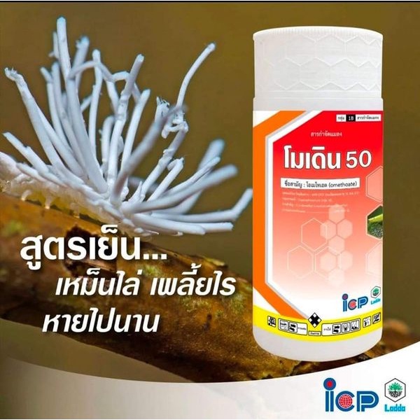 โมเดิน-กำจัดแมลง-omethoate-50