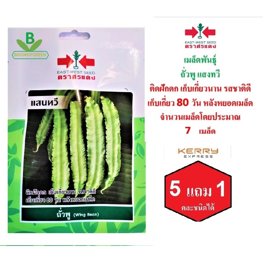 5-ฟรี-1-คละได้-เมล็ดพันธุ์-ถั่วพู-แสนทวี-ตรา-ศรแดง-เมล็ดผัก-เมล็ดพันธุ์พืช-เมล็ดพืช-เมล็ดพันธุ์ผัก-ผักสวนครัว