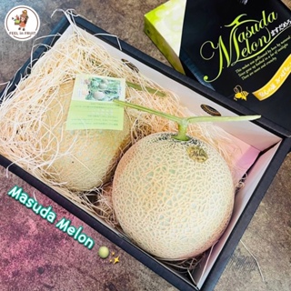 Masuda Melon 🍈🍯 เมล่อนญี่ปุ่น (2 ลูก) หวานหอม premium!