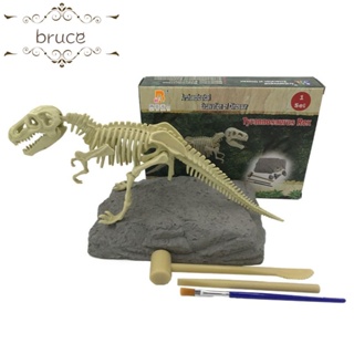 Bruce ชุดโมเดลไดโนเสาร์ โครงกระดูก 3D ของเล่นสําหรับเด็ก