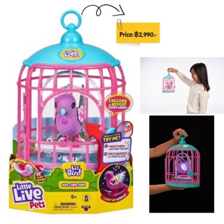 Little Live Pets - Lil Bird &amp; Bird Cage - Polly Pearl