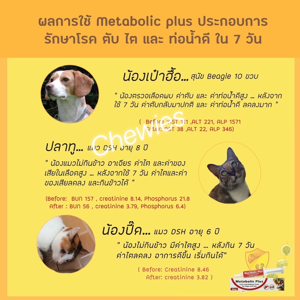 metabolic-plus-exp-04-2024-อาหารเสริมบำรุง-ตับและไต-สุนัขและแมว-20ml-ทานง่ายได้ผลดี-นำเข้าจากยุโรบประเทศเซอร์เบีย