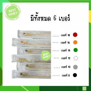 (ยกกล่อง) Foley Catheter 2 way เบอร์ 8,10,12,14, 16,18,20 สายสวนปัสสาวะ 2 ทาง