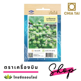 อินทรีย์ ใหม่ สายพันธุ์ จุดประเทศไทย ❤เมล็ดอวบอ้วน มะเขือพวง ตราเจียไต๋ Pea Eggplant มะเขือพวงไร้หนามเมล็ดอวบอ้ว/ขายดี B