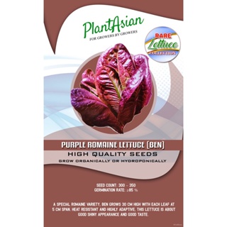 ผลิตภัณฑ์ใหม่ เมล็ดพันธุ์ จุดประเทศไทย ❤PURPLE ROMAINE LETTUCE SEEDS (BEN)เมล็ดอวบอ้วน 100% รอคอยที่จะให้ความสนใจข/เมล็