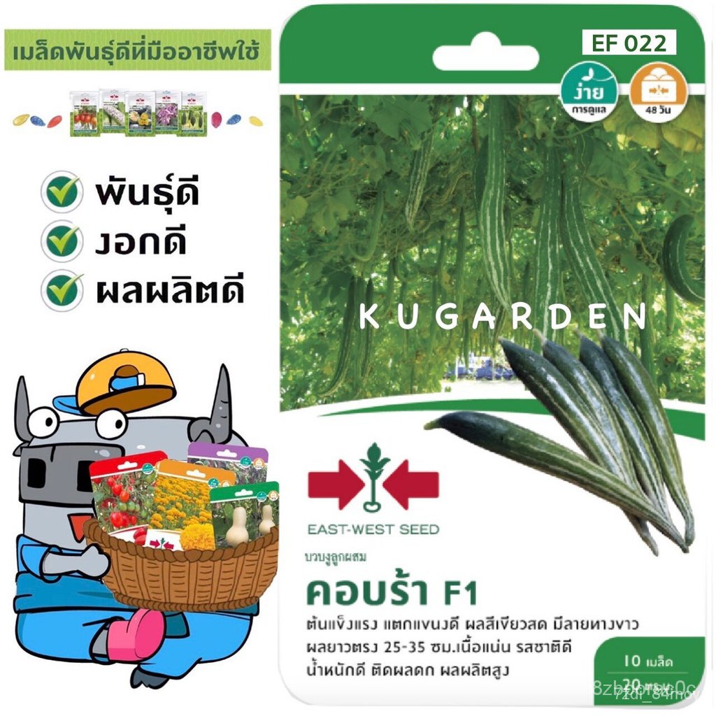 ผลิตภัณฑ์ใหม่-เมล็ดพันธุ์-เมล็ดพันธุ์คุณภาพสูงในสต็อกในประเทศไทย-พร้อมส่ง-ะให้ความสนใจของคุณsorndaeng-ผักซอง-ศ-ดอก-p3w