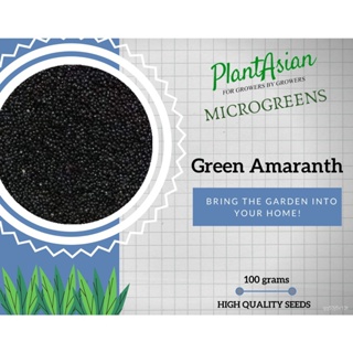 ผลิตภัณฑ์ใหม่ เมล็ดพันธุ์ จุดประเทศไทย ❤GREEN AMARANTH MICROGREENS SEEDS 10 grams/100 gramsเมล็ดอวบอ้วน 100% รอ /ขายดี M