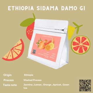 เมล็ดกาแฟ Ethiopia Sidama Damo G1 เอธิโอเปียแนวสดชื่นที่ทุกคนรอคอย!!